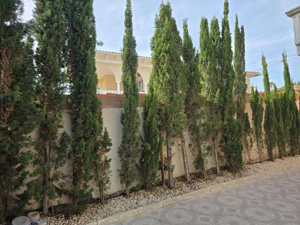 Ferie-bolig i Spania, Ciudad Quesada med privat basseng til leie