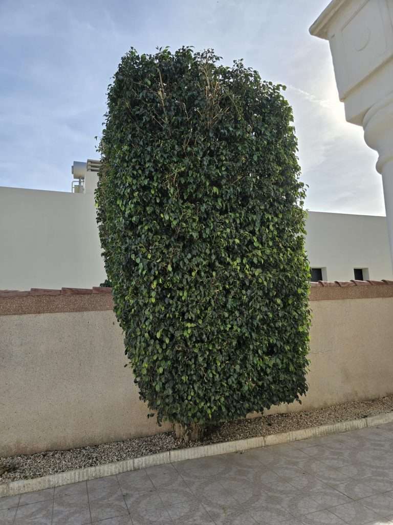 Ferie-bolig i Spania, Ciudad Quesada med privat basseng til leie